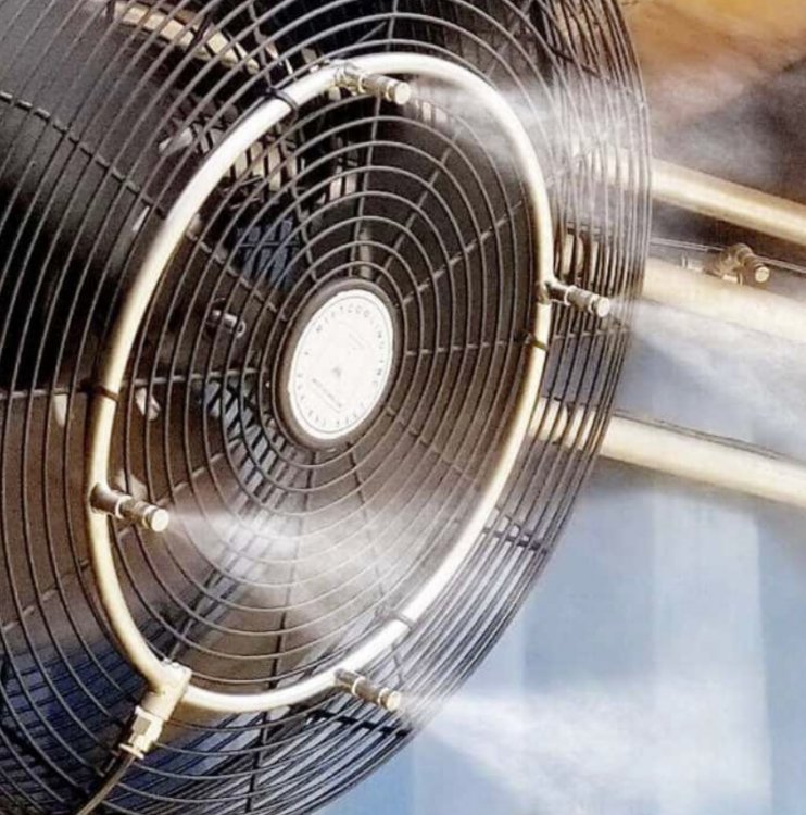 Fans and Misting Systems